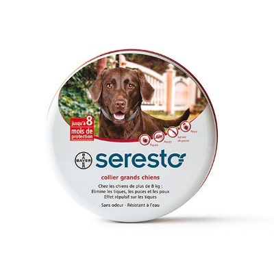 BAYER Seresto Collier grands chiens Antiparasitaires