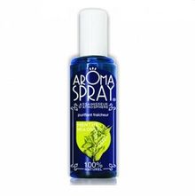 AROMASPRAY Spray Purifiant Fraîcheur Menthe Niaouli 100ml