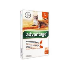 BAYER Advantage 40 Pour Chat et Lapin 4x0.4ml