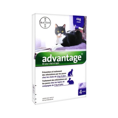 BAYER Advantage 80 Pour Chat et Lapin 4x0.8ml