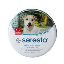 BAYER Seresto Collier petits chiens Antiparasitaires