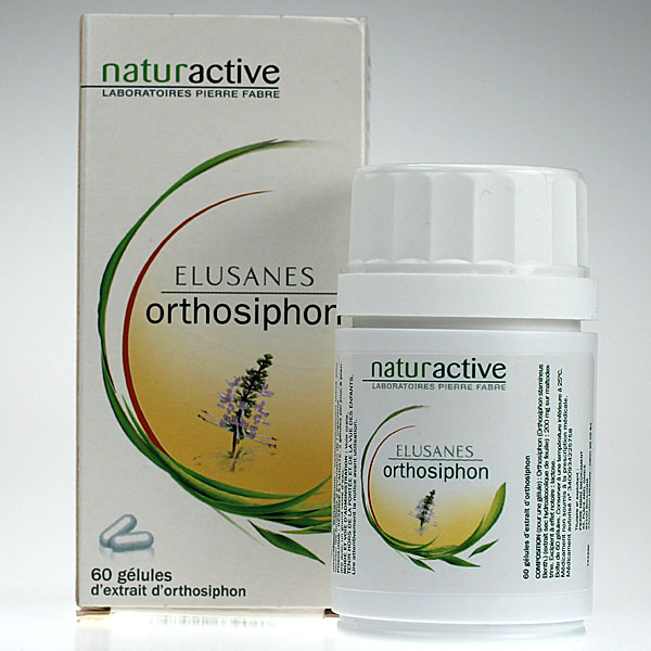 Elusanes Orthosiphon 60 gélules