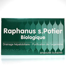 Raphanus S.Potier Biologique 12 ampoules