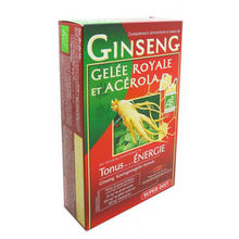 SUPER DIET Ginseng Gelée Royale Acérola BIO 450 mL