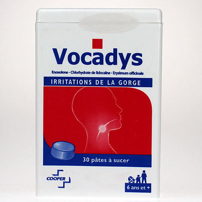 Vocadys 30 pâtes à sucer